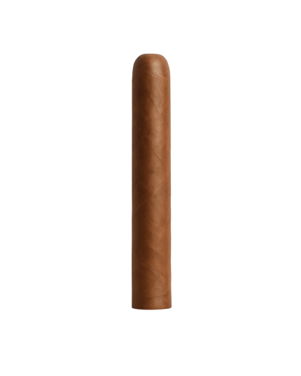 The Fresh Rolled CT Shade Churchill